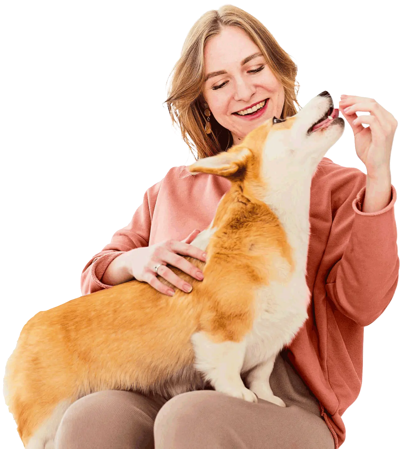 TRIBO SILVESTRE By Dra. Laís Fernandes - Clínica Veterinária Exclusiva para Pets Não Convencionais (Animais Silvestres)